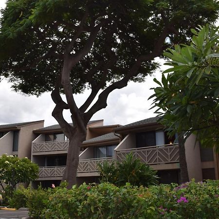 Kihei Holiday 116 エクステリア 写真