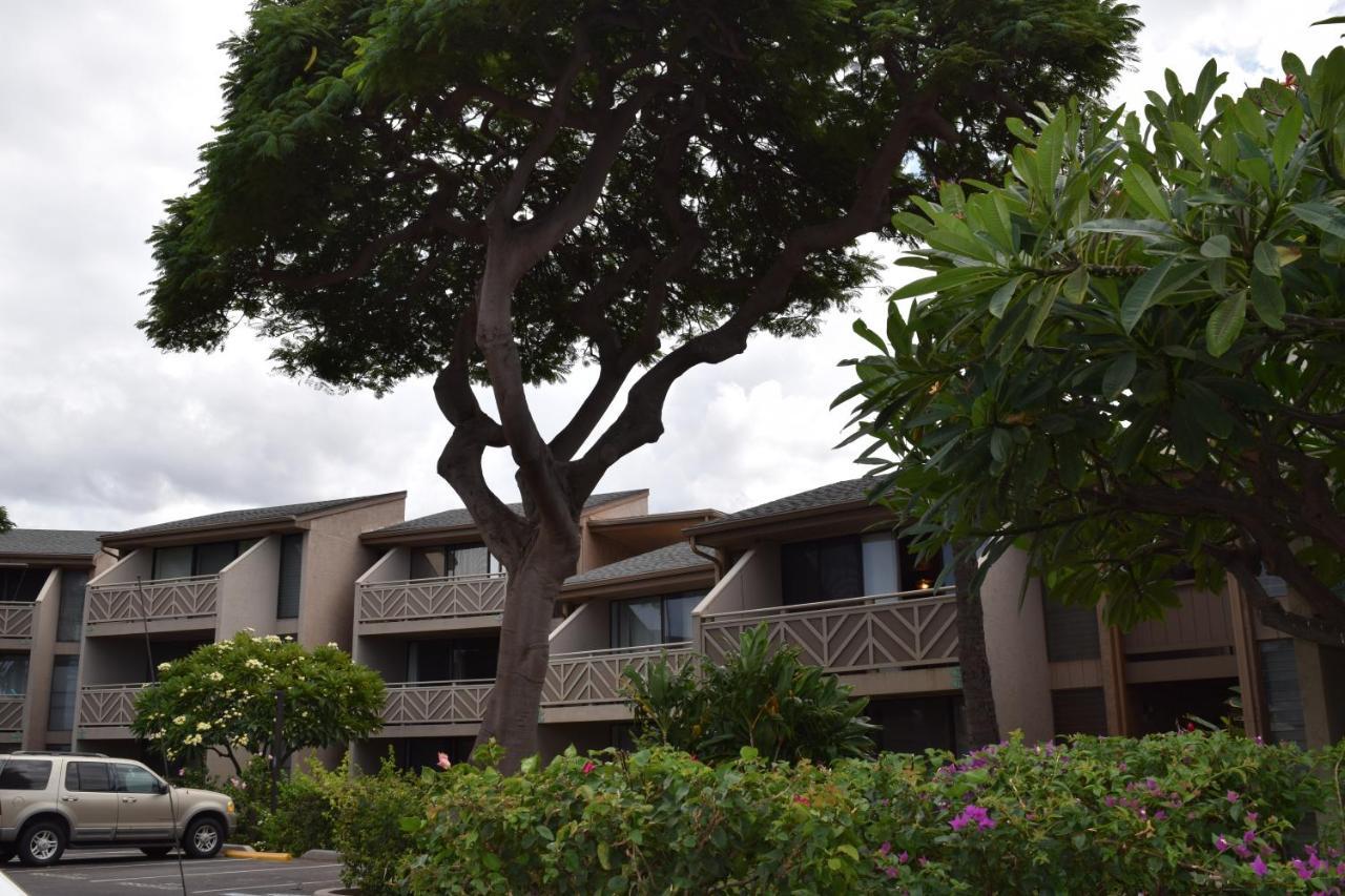 Kihei Holiday 116 エクステリア 写真